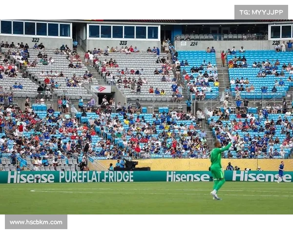 流浪狗闯入葡超赛场中断比赛 球员温情抱狗离场赢得全场掌声